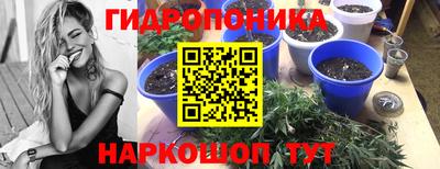 эйфоретик Рыбинск