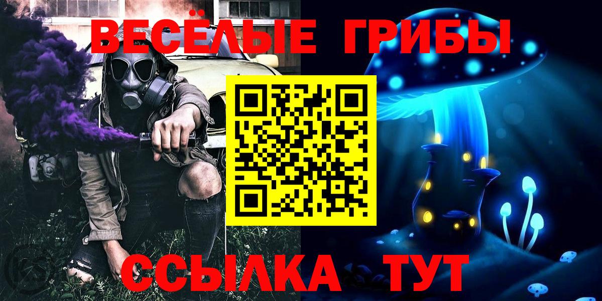 Псилоцибиновые грибы GOLDEN TEACHER  Вход с VPN  Сухой Лог 